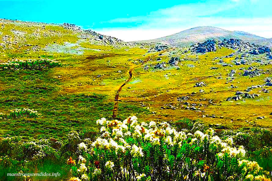 Mt Kosciuszko