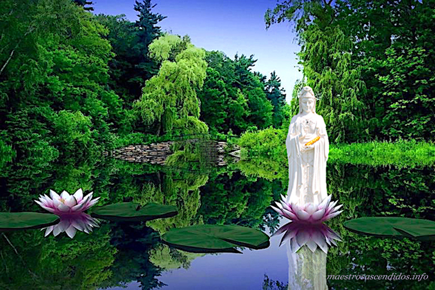 Kwan Yin, lotos