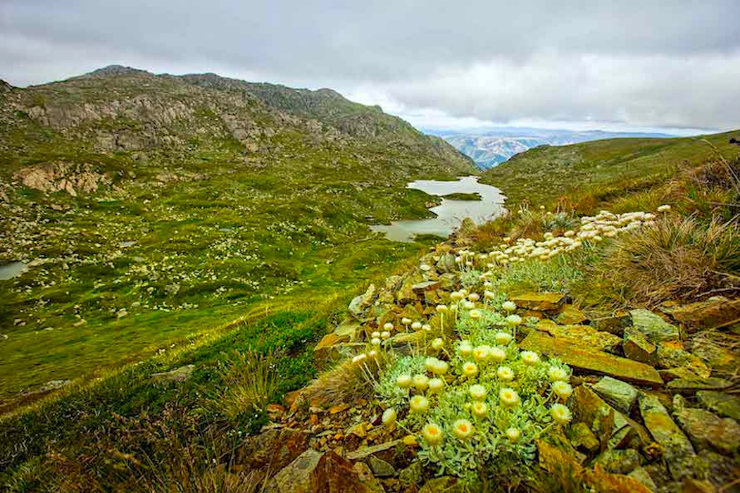 Mt.Kosciusko, Australia