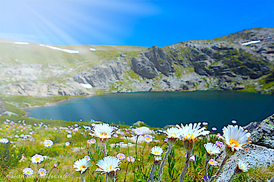 mt Kosciusko