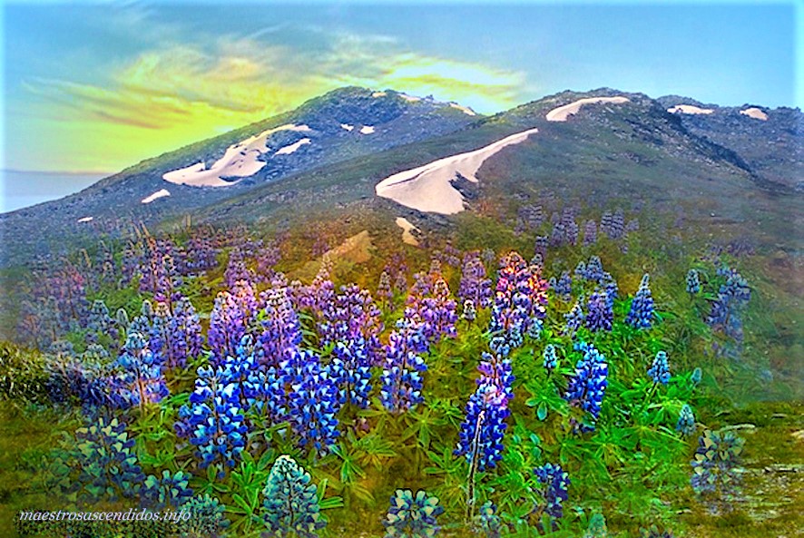 Mt. Kosciusko