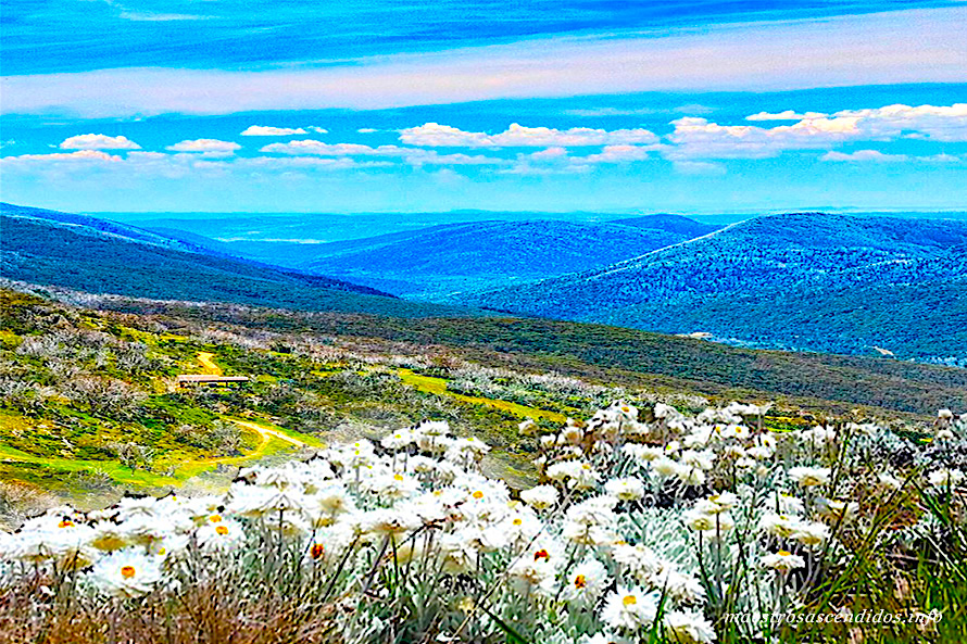 Mt Kosciusko