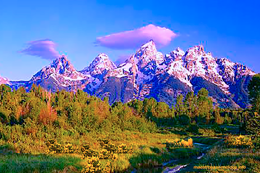 Royal Teton