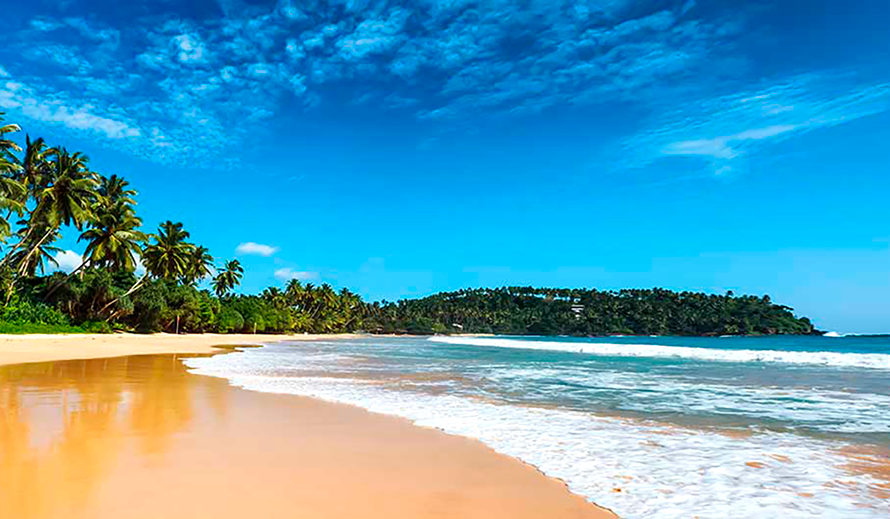 Lady Miriam - Sri Lanka