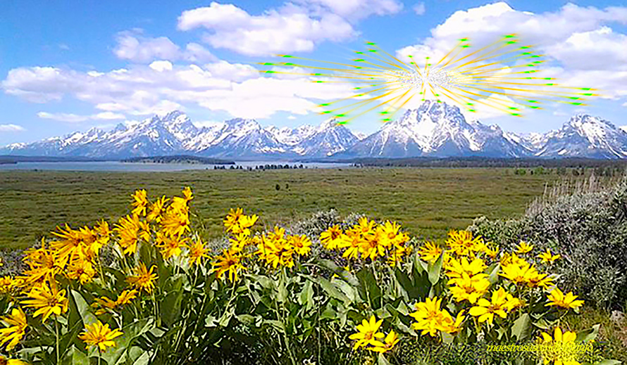 Royal Teton enero 2024