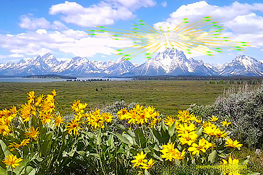Royal Teton 2024