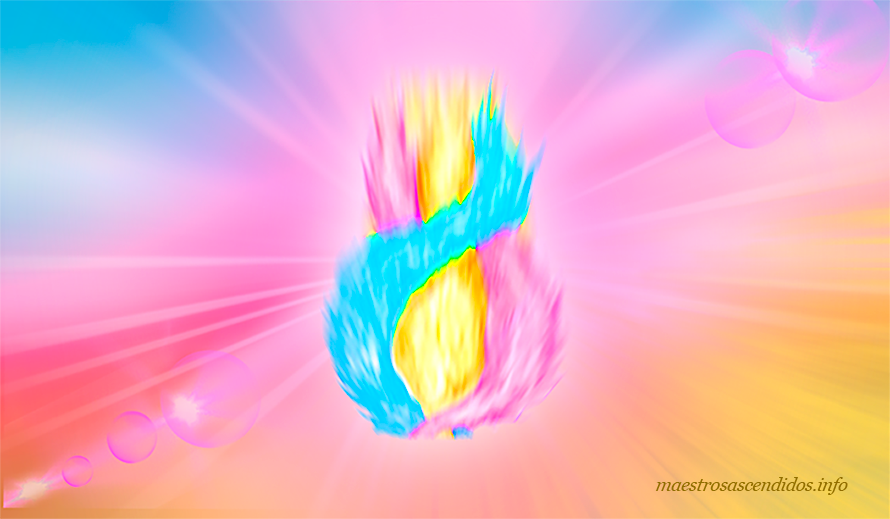 Patrón Electrónico diciembre 2025