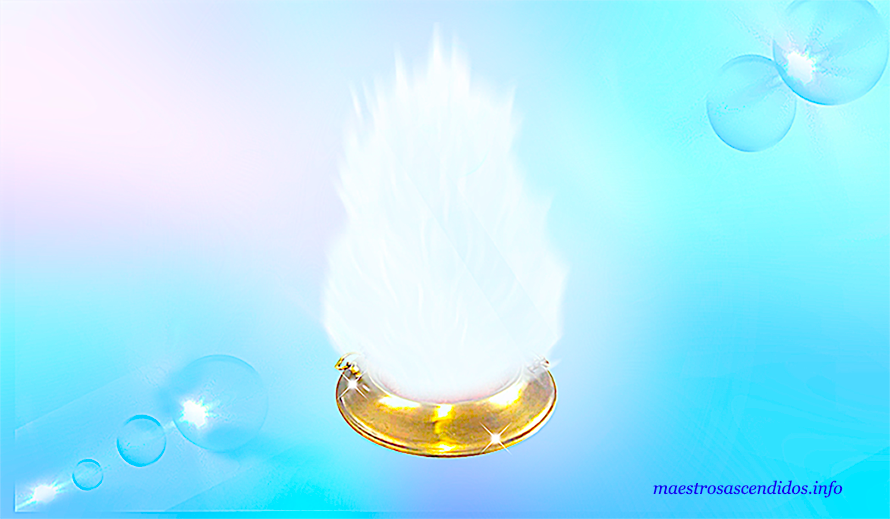 Patrón Electrónico noviembre 2025