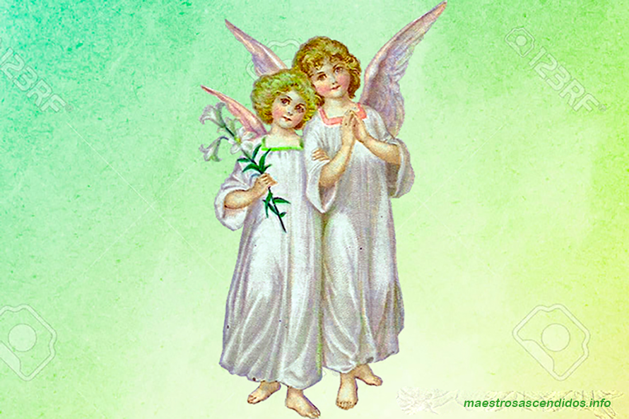 Angeles de curación, Lirios