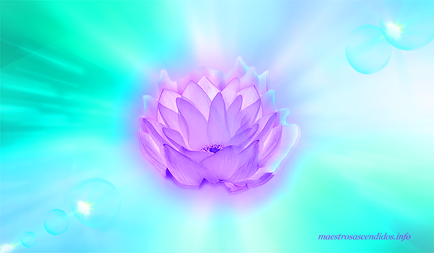 Patrón Electrónico mayo 2026 Kwan Yin